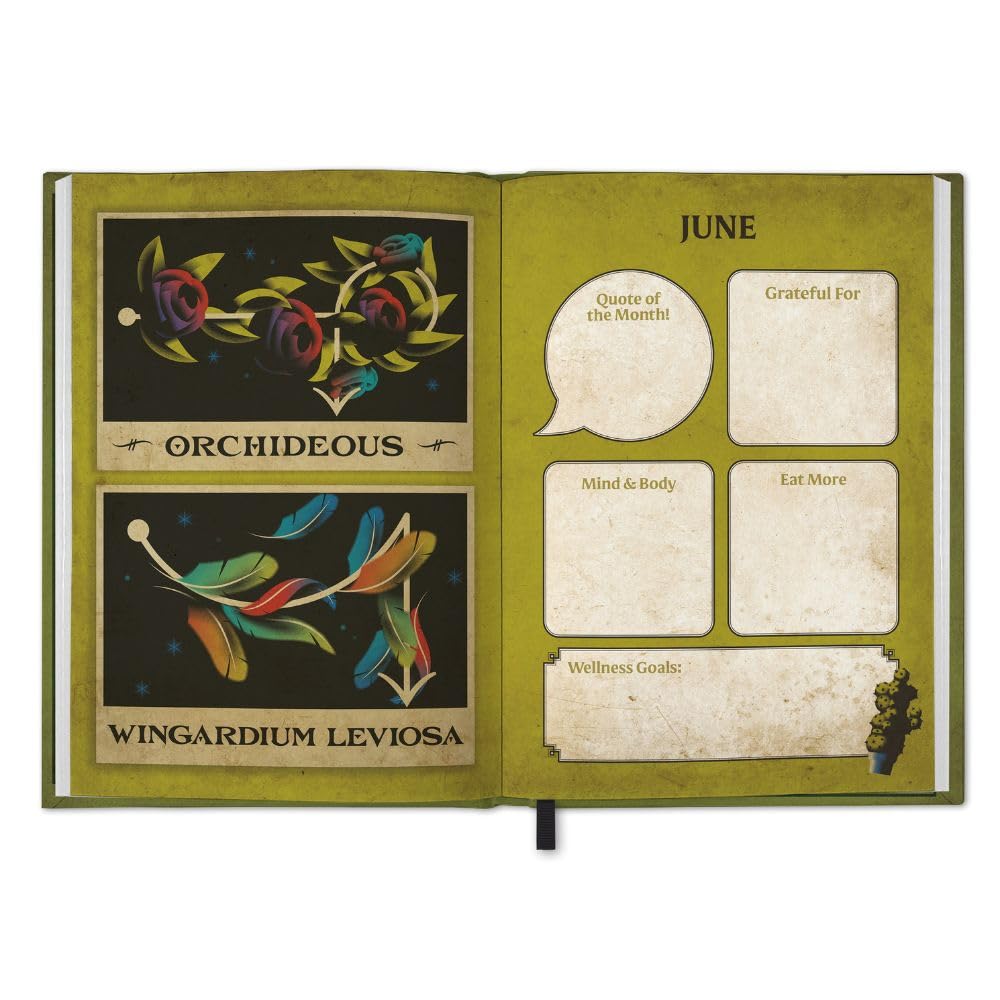 Harry Potter 2026 Calendar & Diary Gift Box