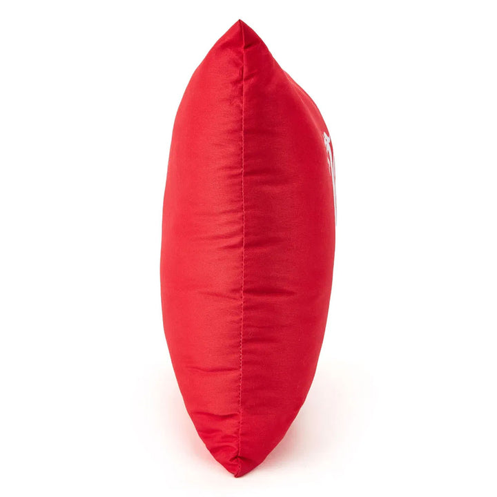 Liverpool FC Liverbird Cushion